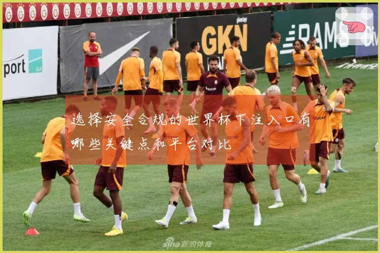 选择安全合规的世界杯下注入口有哪些关键点和平台对比