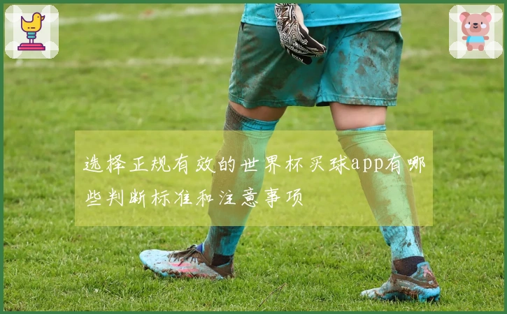 选择正规有效的世界杯买球app有哪些判断标准和注意事项