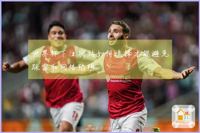 世界杯下注网站如何选择才能避免踩雷和网络陷阱