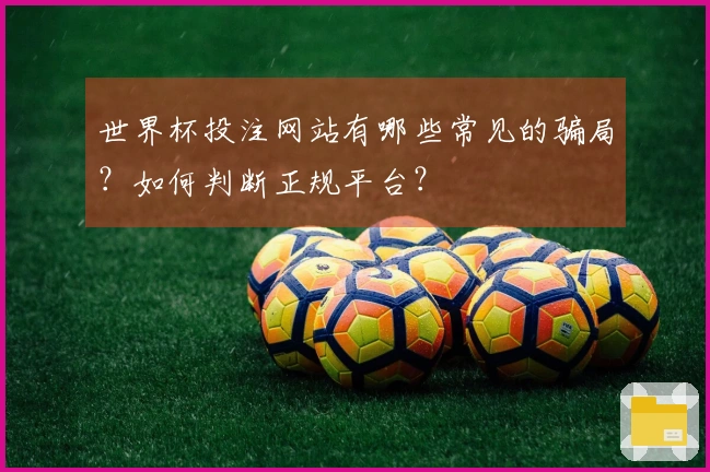 世界杯投注网站有哪些常见的骗局？如何判断正规平台？